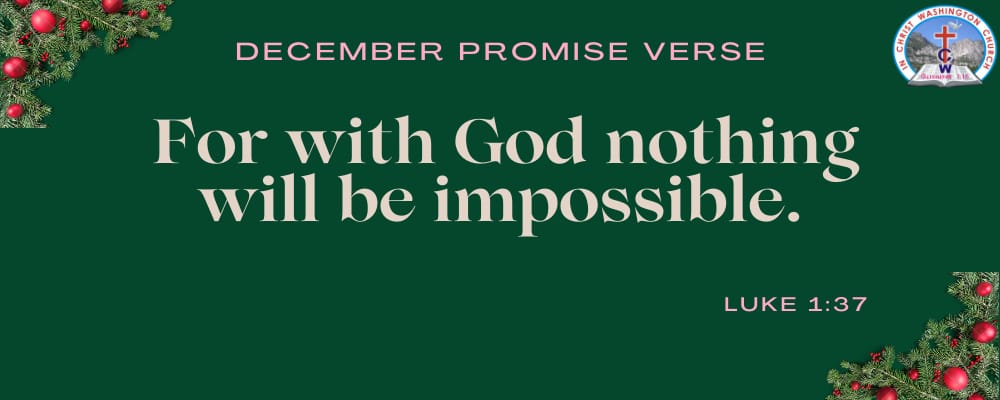 Christmas and New Year Service